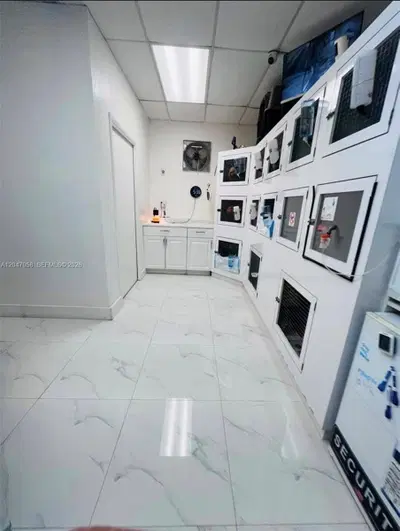 Established Luxury Pet Boutique with Loyal Customer Base