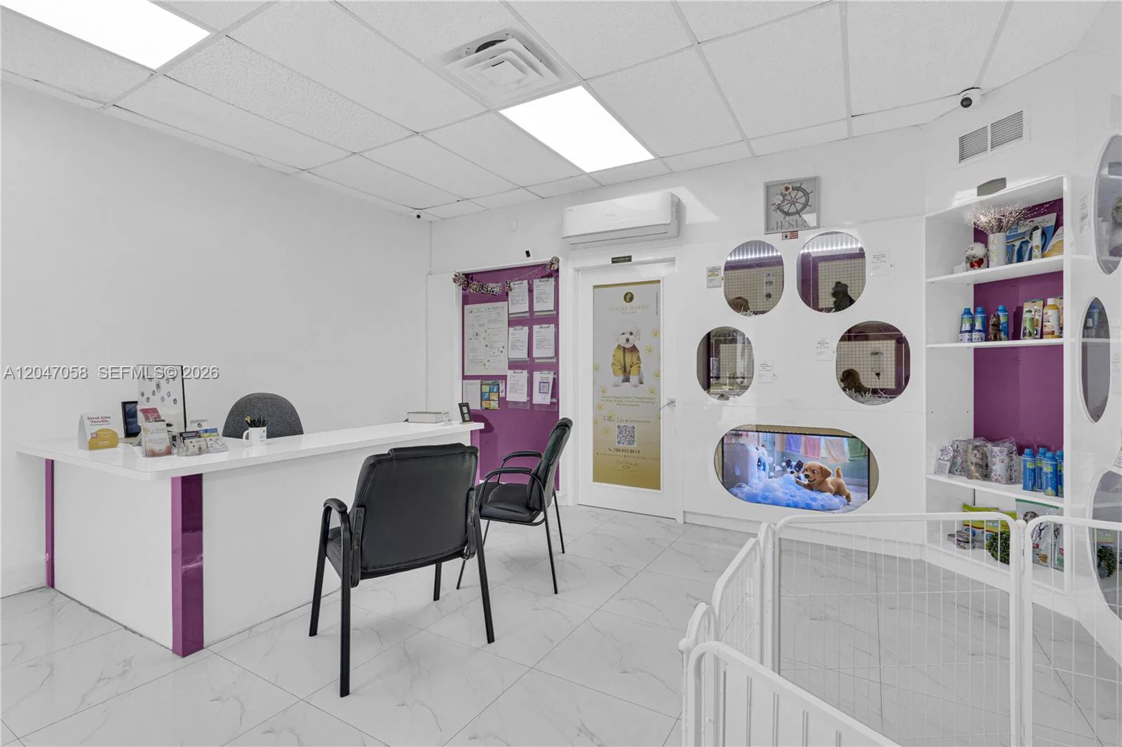 Established Luxury Pet Boutique with Loyal Customer Base