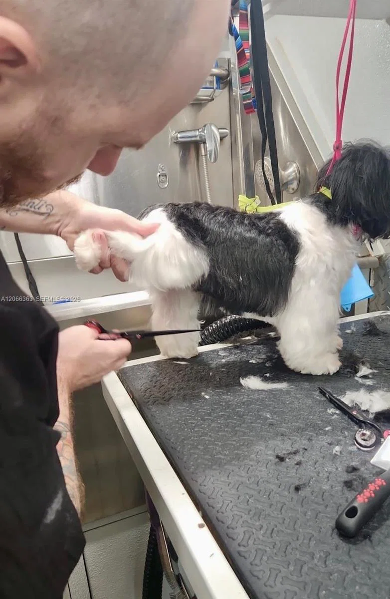 Thriving Mobile Pet Grooming Business with Loyal Recurring Clientele