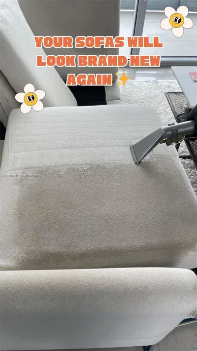 Established Carpet and Upholstery Cleaning with Strong Online Reputation