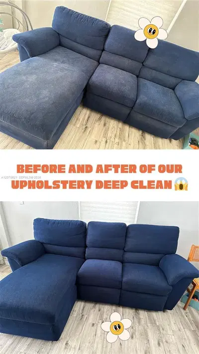 Established Carpet and Upholstery Cleaning with Strong Online Reputation