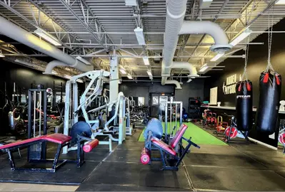 Profitable Gym and Personal Training Studio with Recurring Revenue