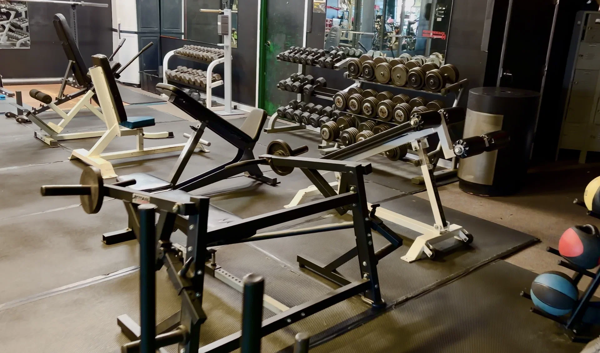 Profitable Gym and Personal Training Studio with Recurring Revenue