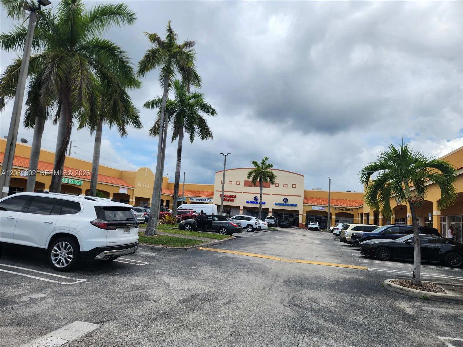 Established Auto Parts Store with Diverse Applications