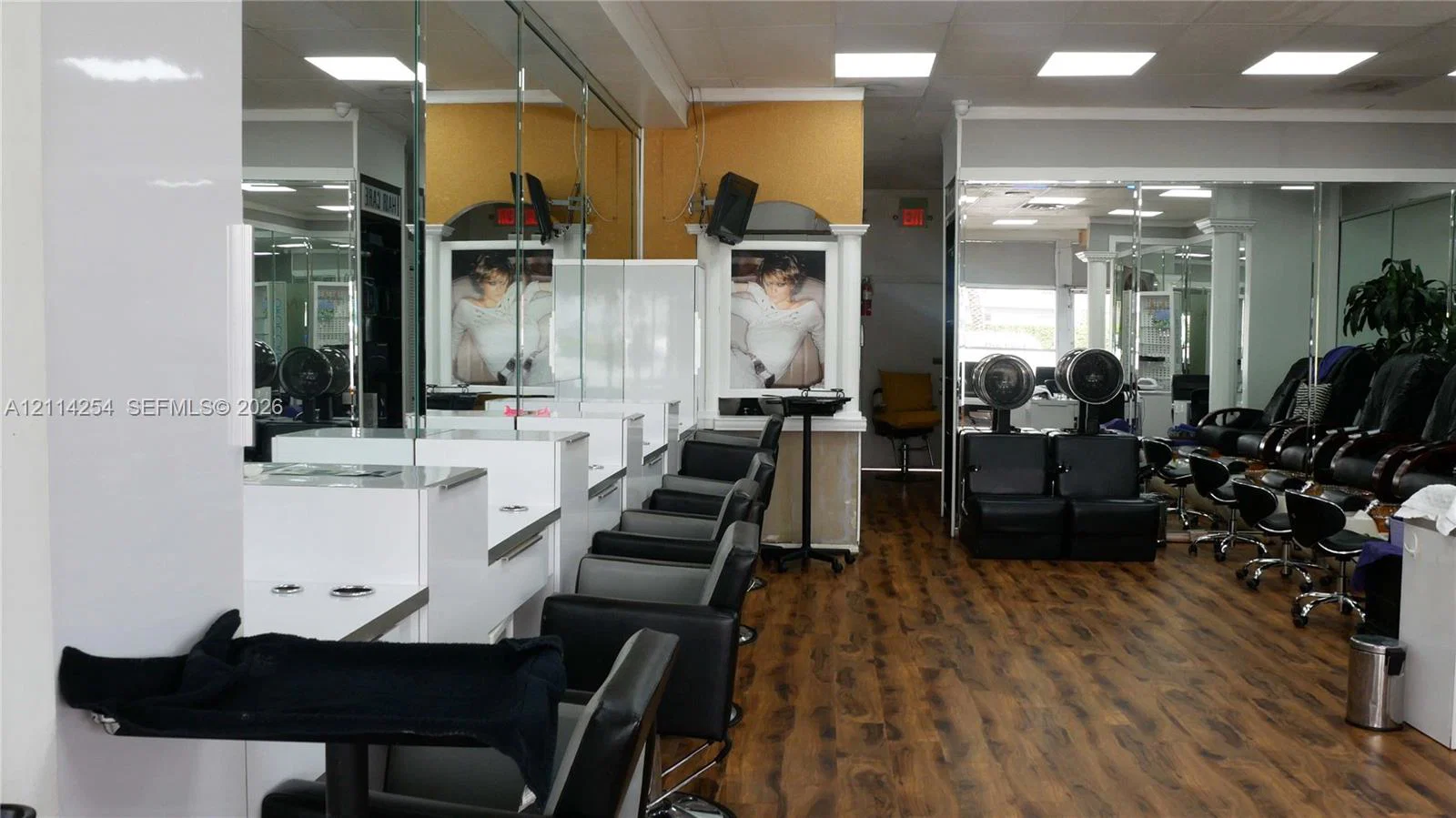 Established Hair Salon Assets with Loyal Client Base