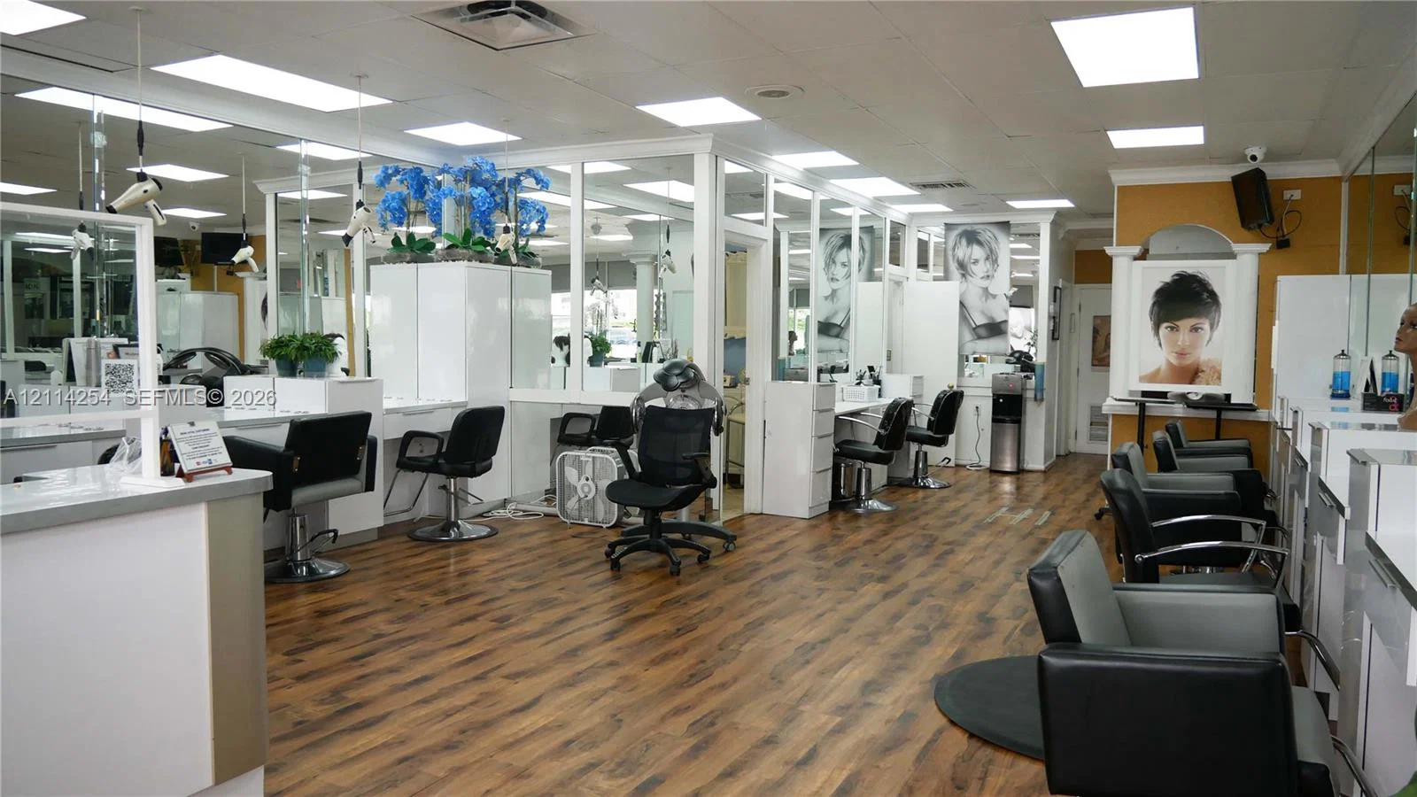 Established Hair Salon Assets with Loyal Client Base
