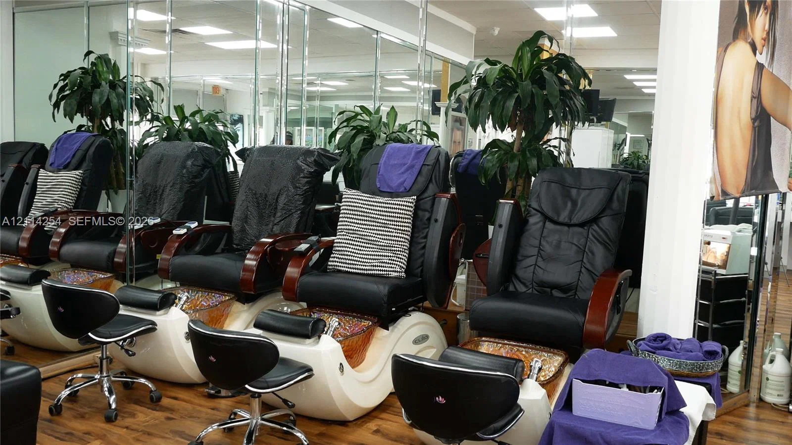 Established Hair Salon Assets with Loyal Client Base
