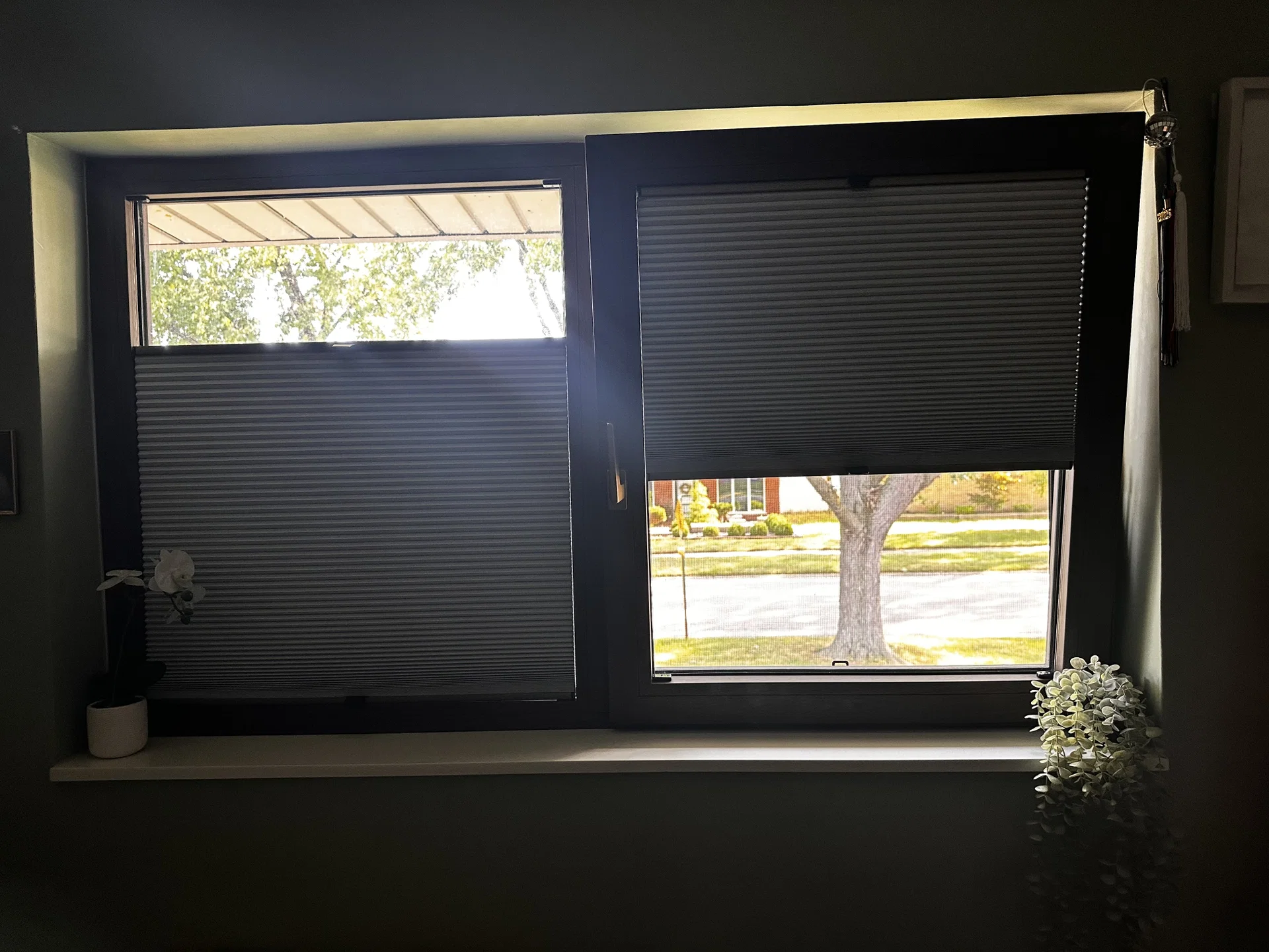 Established Custom Window Treatment Business – Low Overhead, Training Included