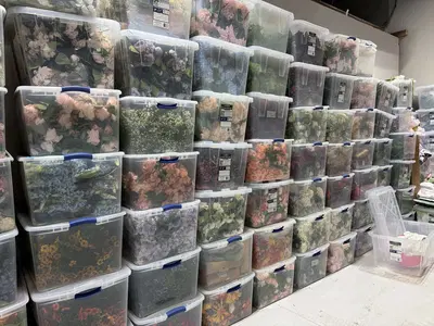 Growing Event Rental Company with Extensive Inventory