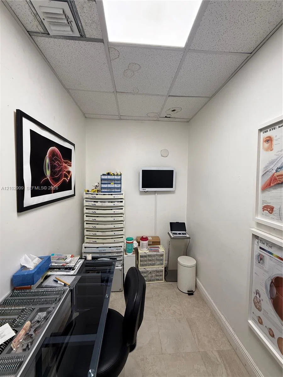 Complete Optical Shop Assets with Modern Fixtures and Inventory