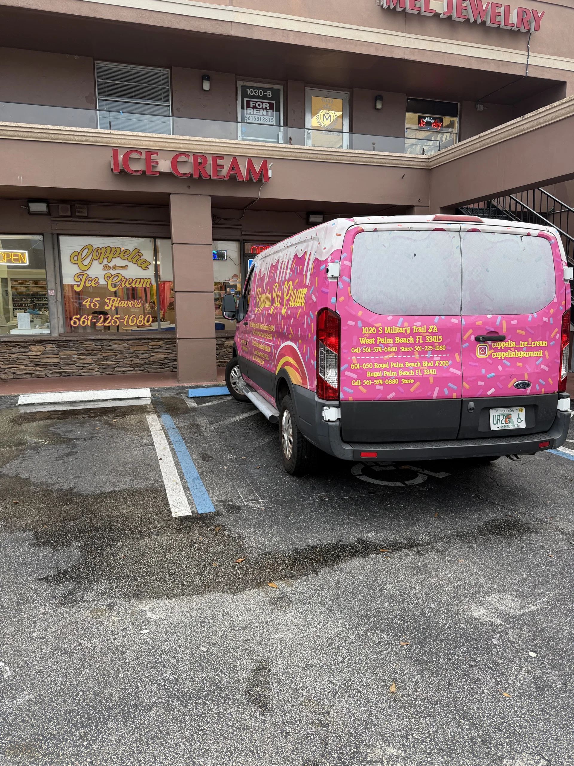 Profitable Ice Cream Shop with Unique Global Flavors