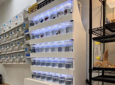 Complete Pet Shop Assets with Existing Inventory and Animals