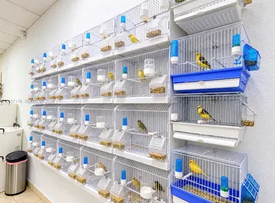 Complete Pet Shop Assets with Existing Inventory and Animals