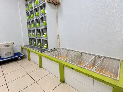 Complete Pet Shop Assets with Existing Inventory and Animals