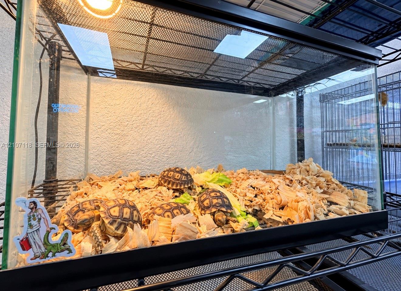 Complete Pet Shop Assets with Existing Inventory and Animals