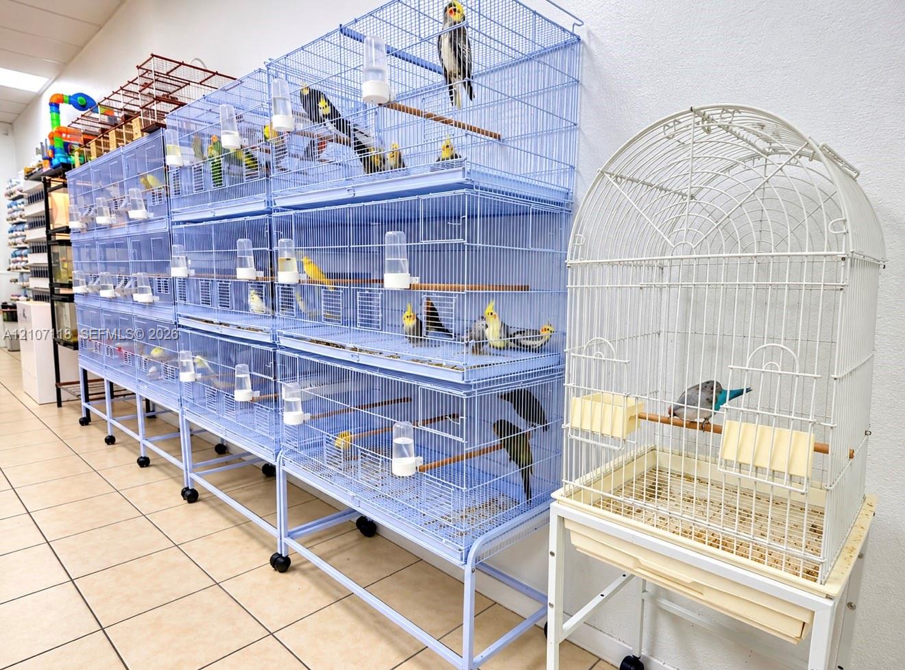 Complete Pet Shop Assets with Existing Inventory and Animals