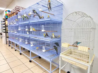 Complete Pet Shop Assets with Existing Inventory and Animals
