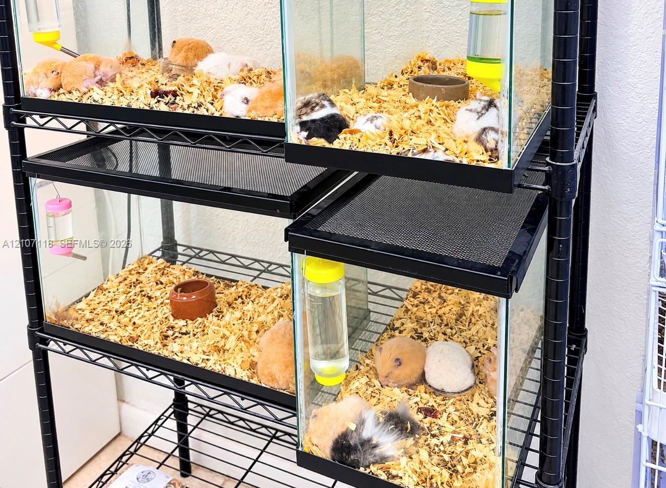 Complete Pet Shop Assets with Existing Inventory and Animals