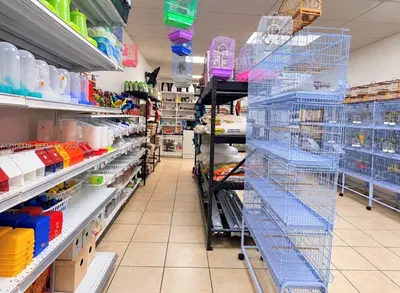 Complete Pet Shop Assets with Existing Inventory and Animals