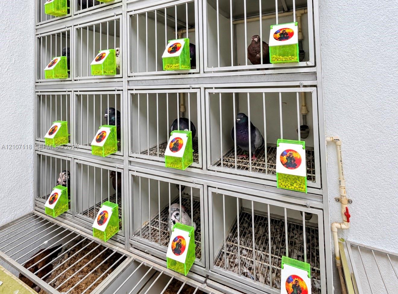 Complete Pet Shop Assets with Existing Inventory and Animals
