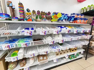 Complete Pet Shop Assets with Existing Inventory and Animals